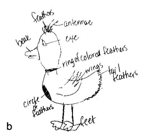 Participant drawing of a bird-like creature with a beak, wings, feathers, and two feet.