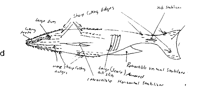Participant drawing of a fish-like creature with fins, gills, a tail, and handwritten anatomical labels.